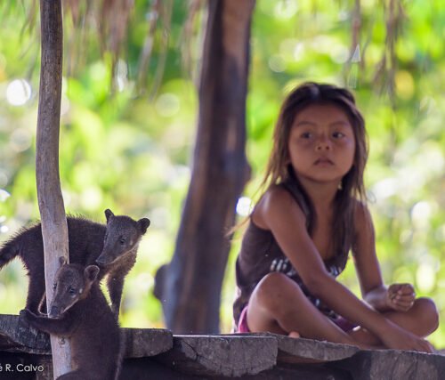 Copyright Jose R. Calvo Samayoa